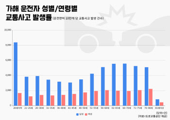 ‘김여사’는 운전을 못할까? 