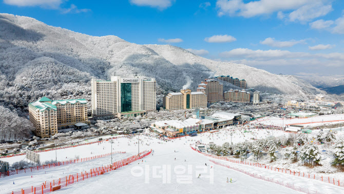 강원 홍천 비발디파크 스키장 이달 29일 개장