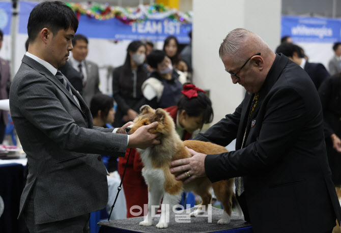 [포토]꼼꼼히 살펴보는 심사위원