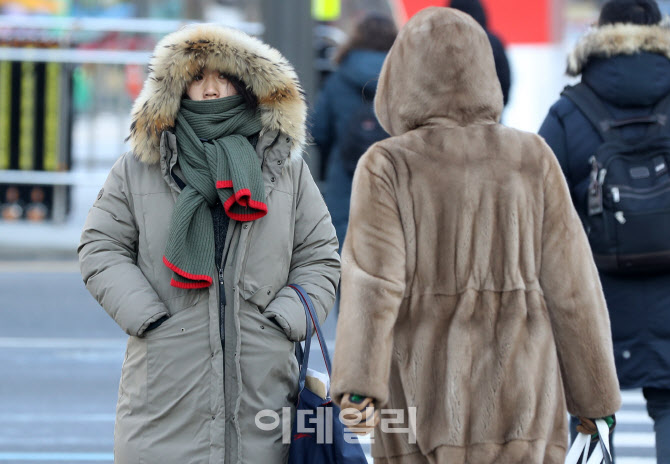 [포토]최강한파에 동장군 기승