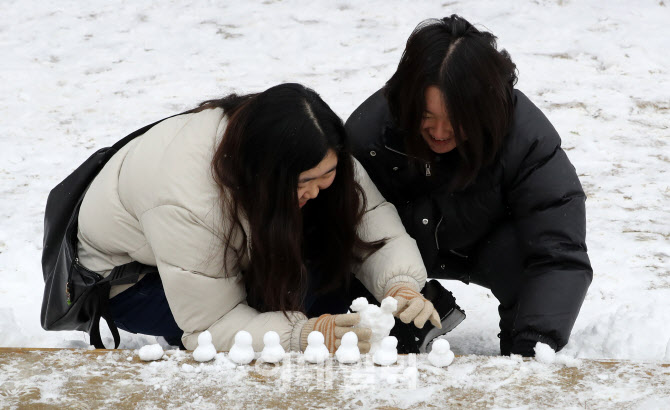 [포토]눈으로 만든 귀여운 오리들