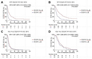 위암 환자, 면역 항암제 치료 전 항생제 노출되면 치료 효과 낮아져