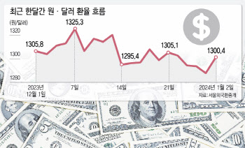 새해 벽두부터 12원 넘게 오른 환율…나흘 만에 1300원대 진입(종합)