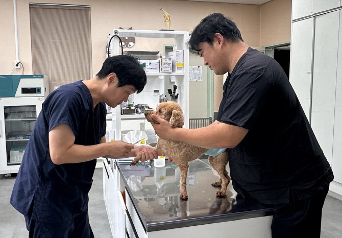 경기도, 5일부터 동물병원 진료비용 게시 의무화