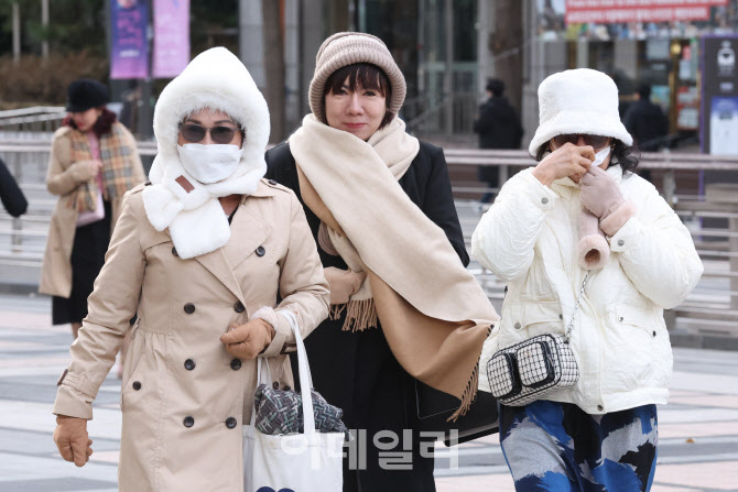 `봄꽃 피다 역대급 한파`…작년 12월, 기온 변동폭 가장 컸다