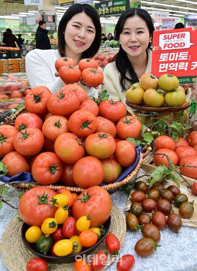 [포토] 농협유통, 토마토-겨울철 면역력 추천