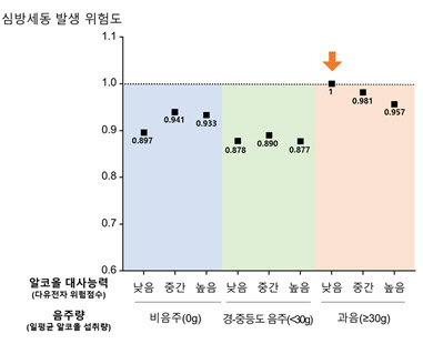 음주후 알코올 대사능력 낮을수록 심방세동 위험↑