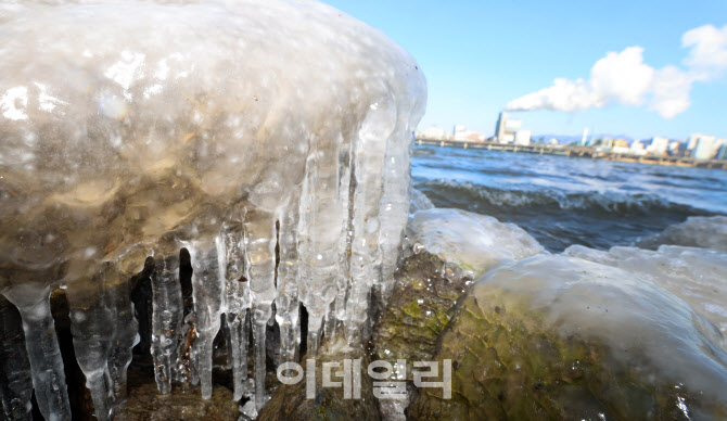 [포토]냉동고 한파