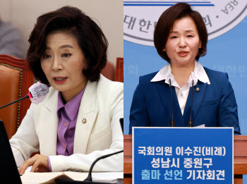 `친명`의 `비명` 지역구 출마 러시…갈등 격화에 지도부 난색