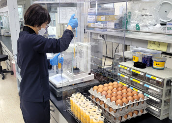 경기도, 산란계 농가 계란 검사…먹거리 안전 확보