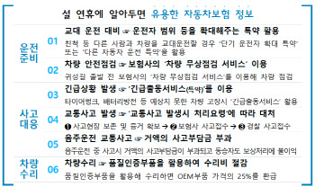 친척이 내차 운전한다면 운전자 확대 특약…'설 연휴 알아두면 유용한 차보험 정보'