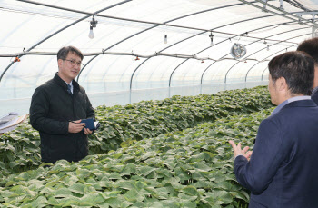 "과일 로봇으로 재배한다"…농진청, 농업 미래산업화 박차