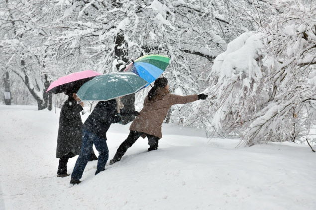 전국 곳곳 눈·비…강원영동 최대 60㎝ 폭설[내일날씨]