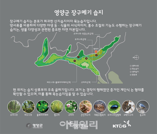 [포토] 국립생태원, 장구메기 습지 복원공사