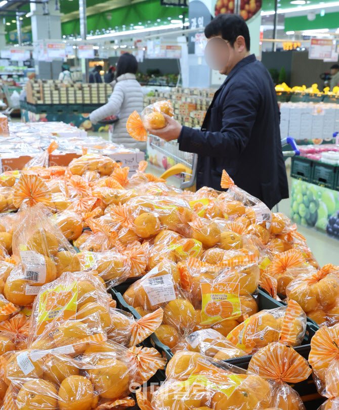 [포토]천정부지 치솟는 밥상물가… 대파 57%, 시금치 68% 올라