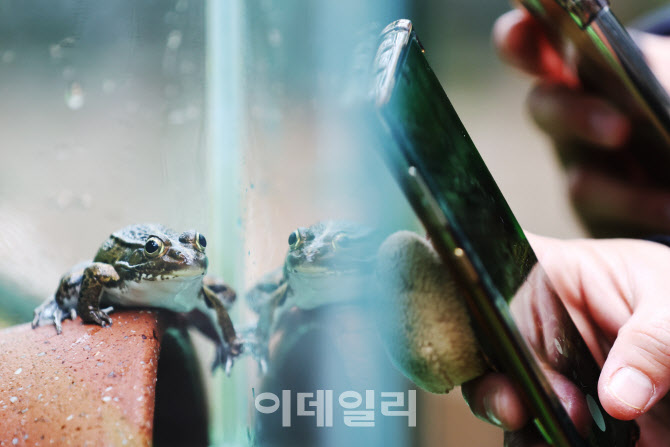 [포토]경칩 하루 앞두고 깨어난 개구리