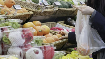 과일값 폭등에 비상걸린 정부…할인지원에 예산 역대급 푼다