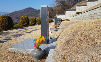 3·15민주묘지, 플라스틱 조화 '친환경 꽃' 대체 시범사업 추진