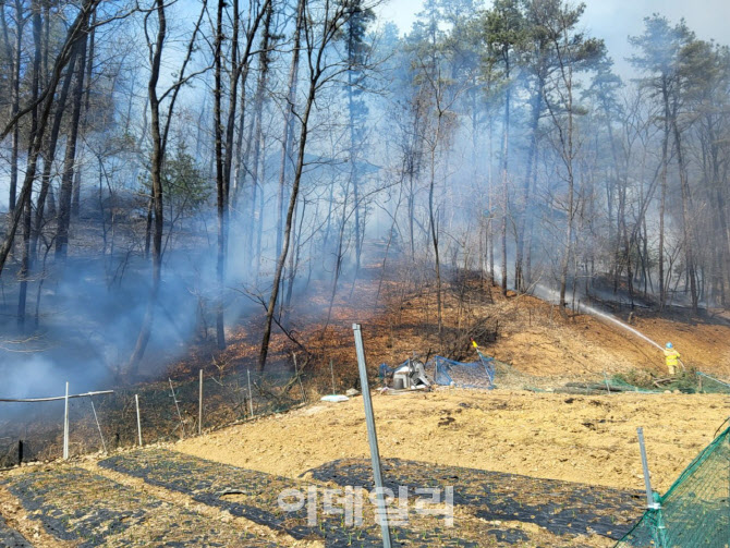 화성 무봉산 자락에서 불, 소방·산림청 헬기 동원 진화 중