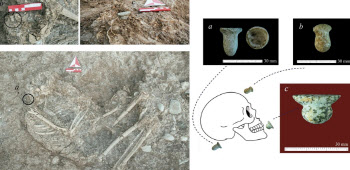 석기시대 유행한 '피어싱'…튀르키예서 유물 85점 발굴