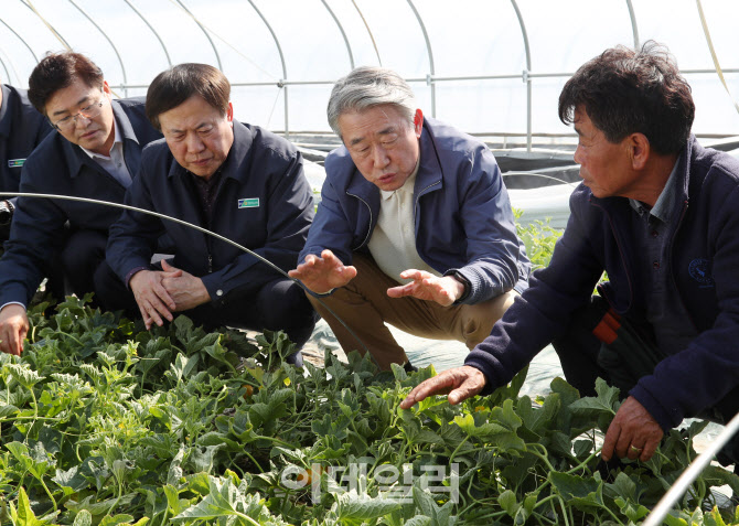 [포토] 일조량 부족 참외 피해농가 방문한 강호동 농협회장