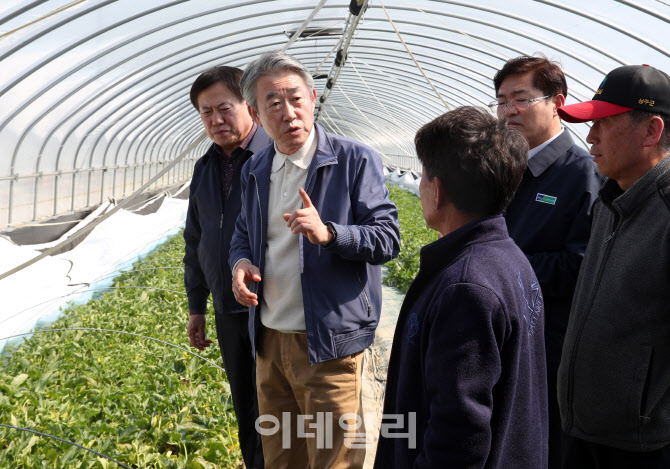 [포토] 참외 피해농가 찾은 강호동 농협회장