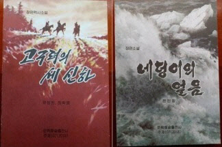 북한 소설, 미승인 출판 강행…민간단체 이사장 ‘벌금형’