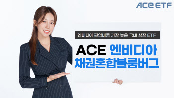 한투운용 "엔비디아 안정적으로 투자하려면…'ACE ETF' 주목"