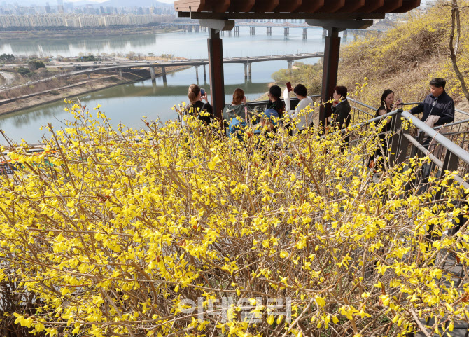 [포토]'서울 응봉산에 찾아온 봄'