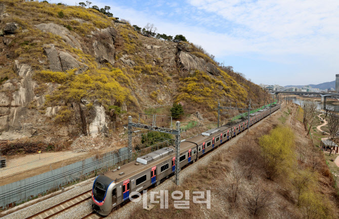 [포토]봄이 왔나 봄