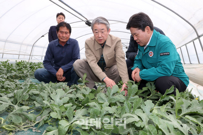 [포토] 강호동 농협회장, 일조량 피해상화 점검