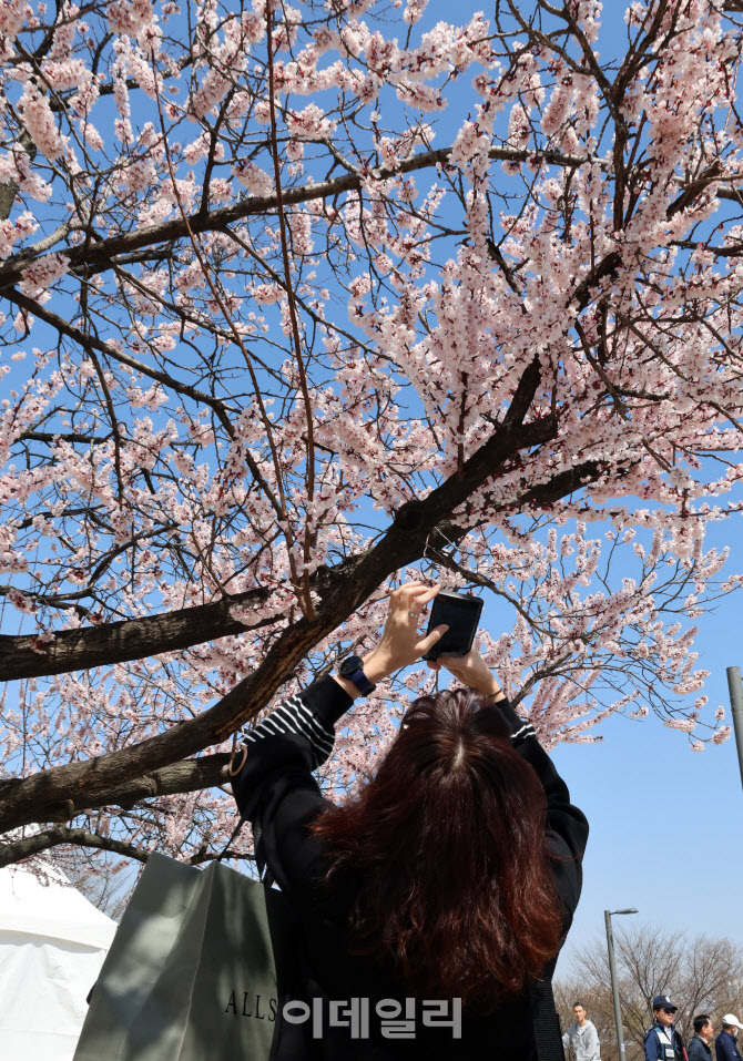 [포토]이른 봄 내음 가득한 서울