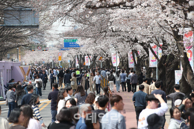 [포토]'여의도 벚꽃축제 교통통제 8일까지 연장'