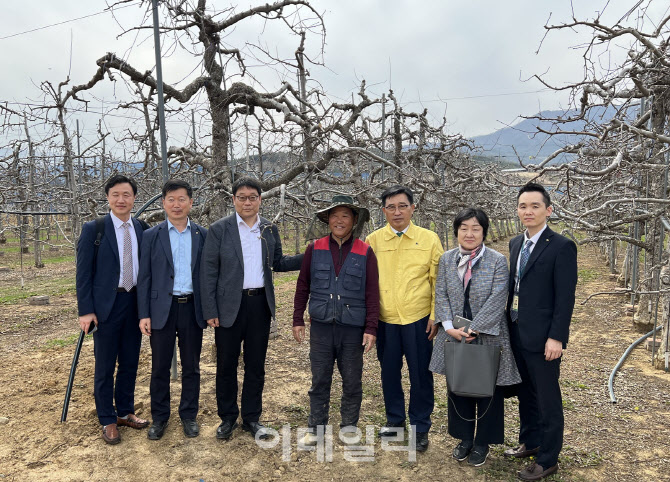 [포토] 김춘진 한국농수산식품유통공사 사장, 사과 작황 점검