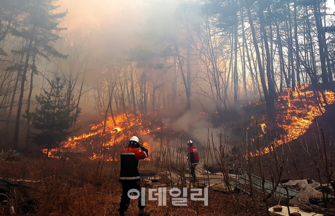 경기도, 4월 한달간 산불 우려 행위 집중단속