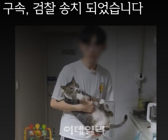 ‘순한 개'만 상습 입양해 죽인 20대 ‘구속’…"최종 처벌 수위는?"[댕냥구조대]