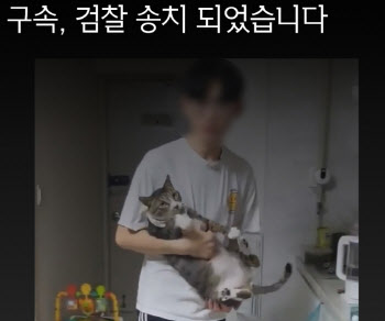 ‘순한 개'만 상습 입양해 죽인 20대 ‘구속’…"최종 처벌 수위는?"[댕냥구조대]