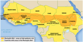 5가 수막구균 백신 나이지리아서 최초 도입...서두르는 유바이오로직스