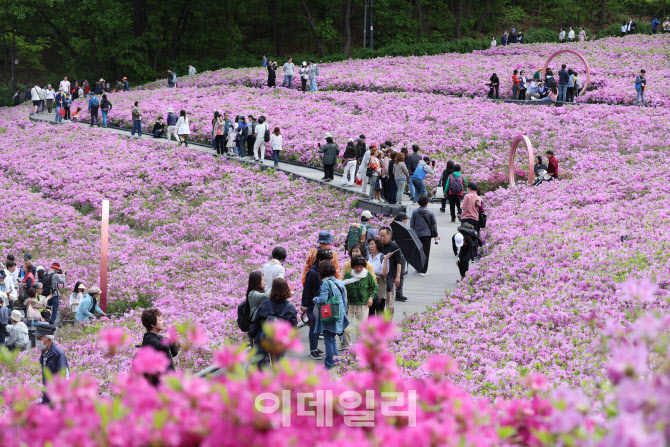 [포토]'2024 불암산 철쭉제'