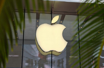 월가 “애플, 포기해선 안 될 기업”…곧 반등 나오나(영상)