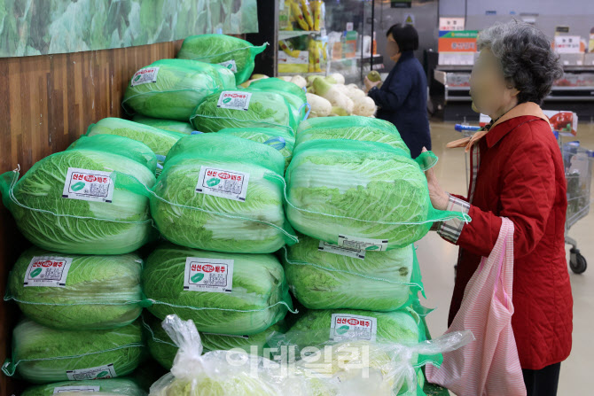 [포토]먹거리 물가 '들썩'…과일·채소값 상승 주요국 중 1위