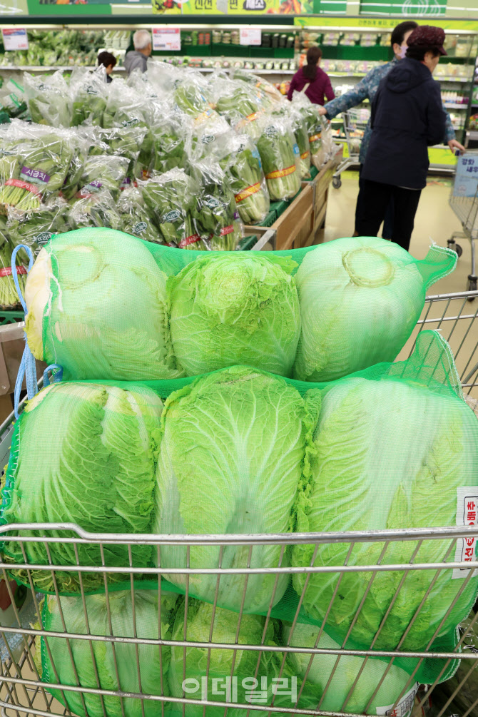 [포토]올해 과일·채소값, 세계서 가장 많이 올라