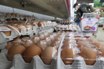 계란 납품단가 지원, 연중 지속 추진…"체감물가 부담 완화"