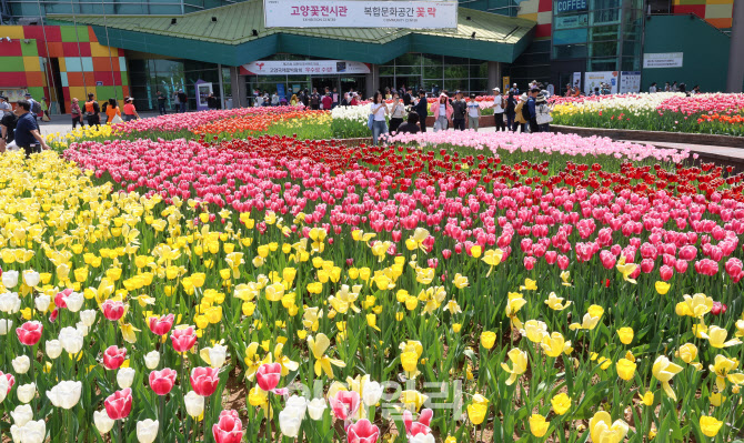 [포토]1억 송이 꽃 심어진 일산호수공원