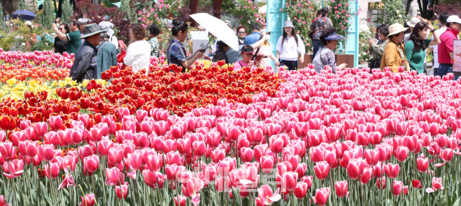 [포토]2024 고양국제꽃박람회 개막...화려한 꽃과 함께 즐기는 봄