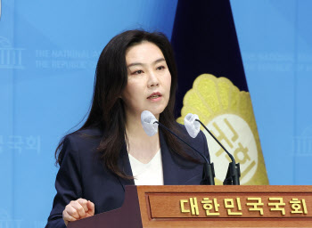 민주 "정부, 무턱대고 해외직구 금지…퇴행적 쇄국정책"