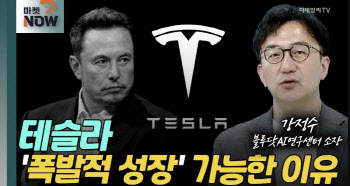 (영상)"테슬라는 AI기업, '폭발적 성장'도 가능"[오만한 인터뷰]