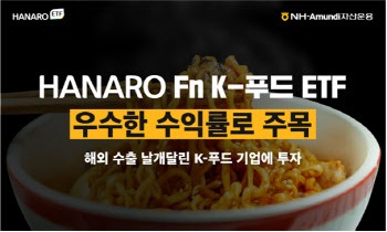 음식도 화장품도 ‘K열풍’…‘HANARO K’ 시리즈 수익률↑