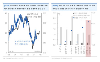 “앤비디아 실적 임박…SK하이닉스·삼성전자 우선주로 대응”