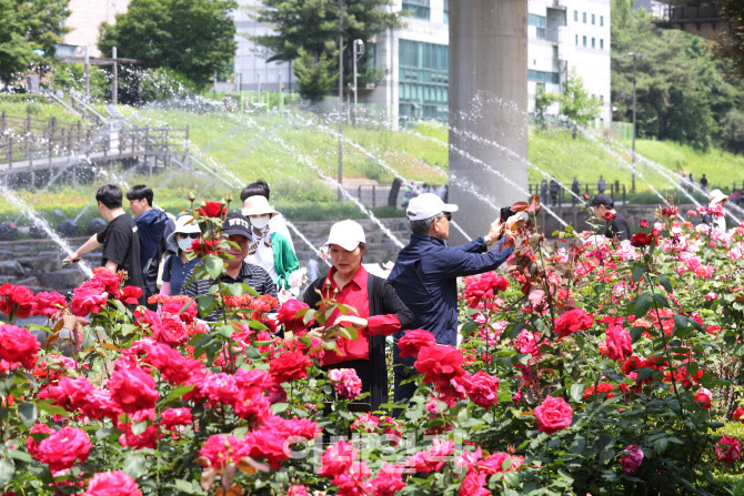 [포토]낮 기온 25도 이상으로 무더운 날씨